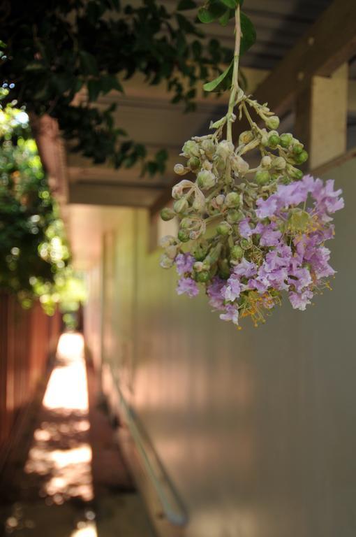 Pure Land Guest House Toowoomba Zewnętrze zdjęcie